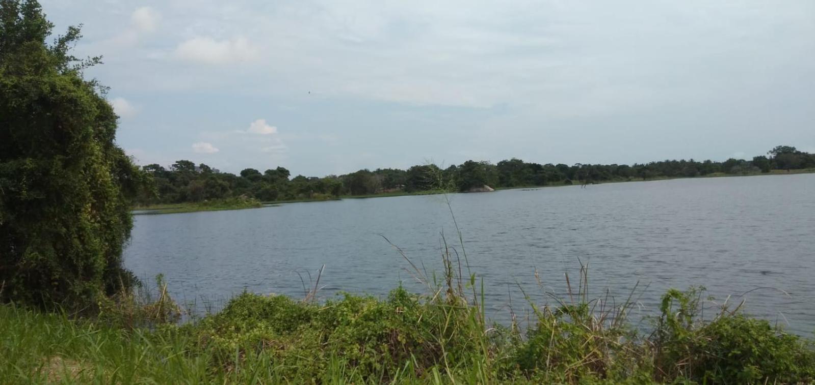 Liyara Home Stay Sigiriya Dış mekan fotoğraf