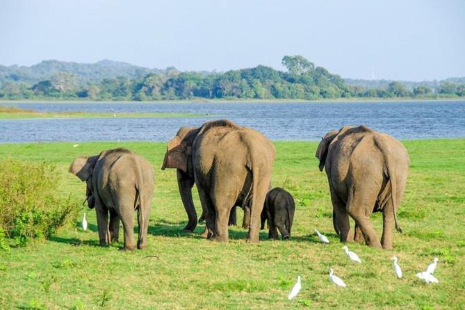 Liyara Home Stay Sigiriya Dış mekan fotoğraf
