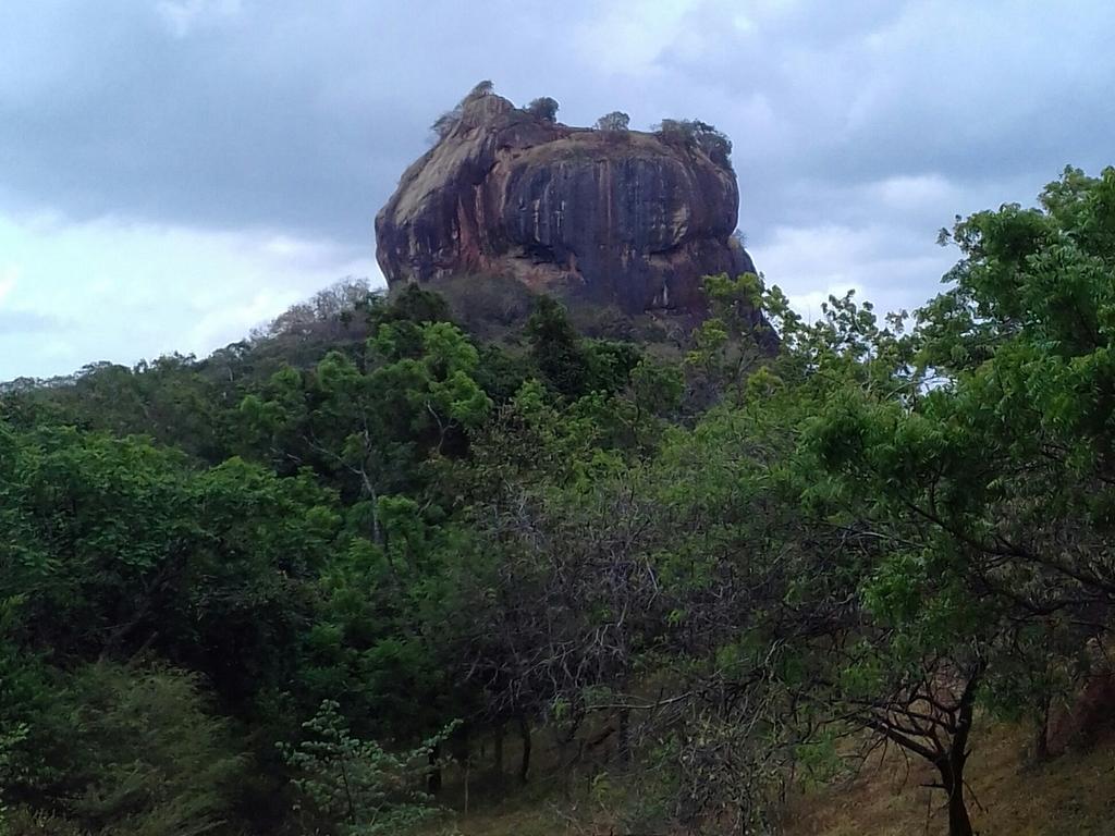 Liyara Home Stay Sigiriya Dış mekan fotoğraf