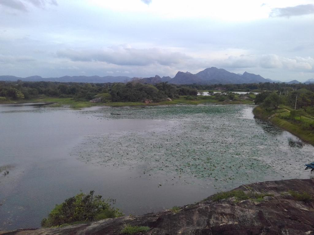 Liyara Home Stay Sigiriya Dış mekan fotoğraf